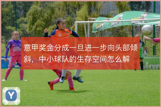 意甲奖金分成一旦进一步向头部倾斜，中小球队的生存空间怎么解